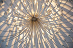 5/6 - Light Modern Branch Modeling Chandelier in White or Black for Stylish Interiors - 5 Lights / D21"*H29"WhiteWarm LightBlushlighting