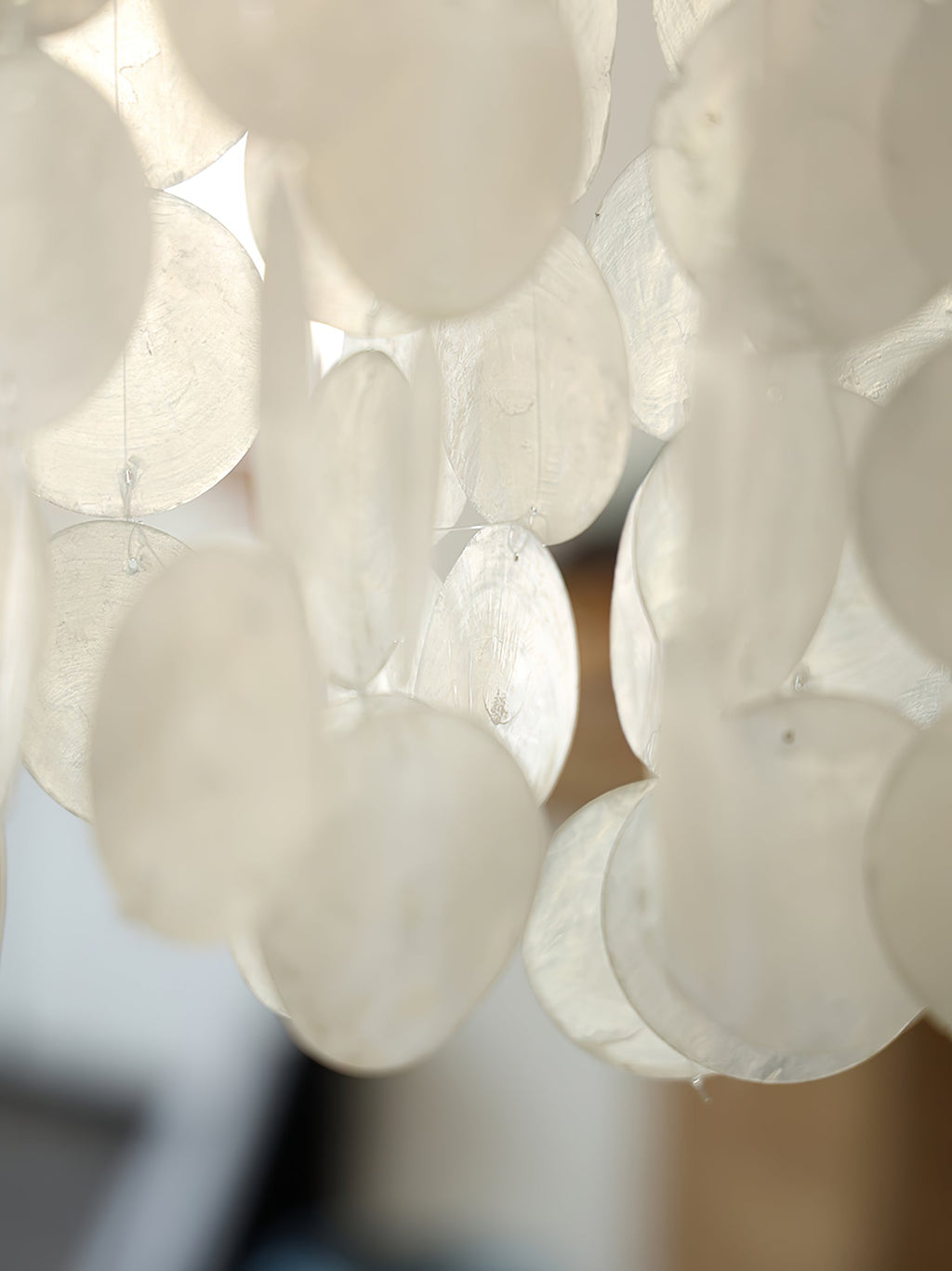 Modern Nerida Shell Chandelier-Chandelier-Manorlights