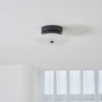 Ankeny Alabaster Ceiling Lamp - Vakkerlight
