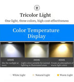Bidi Multi Light Pendant Chandelier-Manorlights