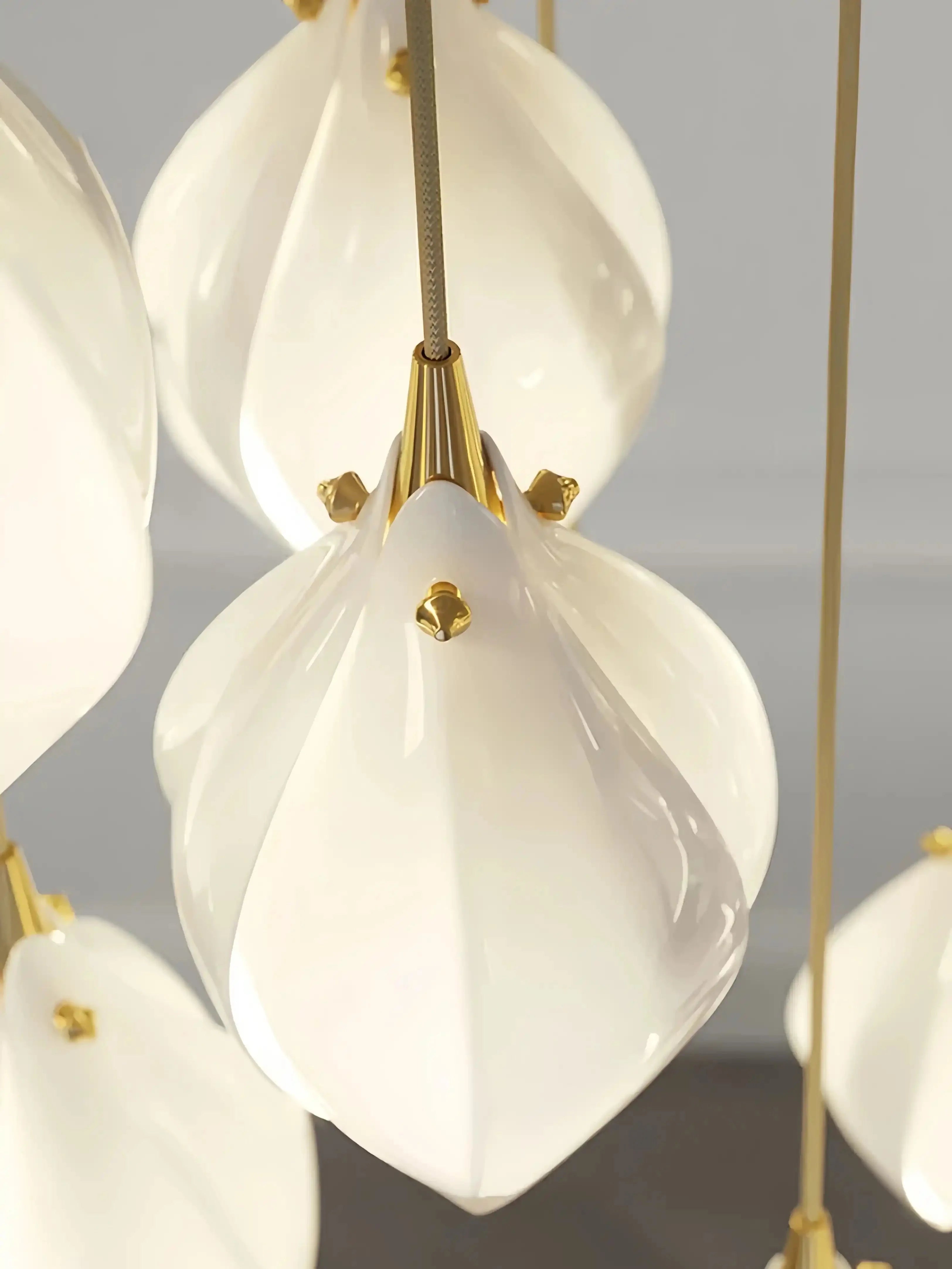 Bloom Chandelier - 26 Lights | Ellipse styleEmitting White LightingBlushlighting