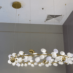 Creative Art Grape Chandelier Pure White Nordic Ring and Linear Design for Living Room or Dining Room - Linear/L47.2"*H118.1"Warm LightBlushlighting