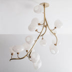 Modern Chandelier with Irregular Glass Lampshades and Brass Branches - L47"*W42"*H50"Warm LightManorlights