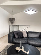 Murano Chandelier – 48 tubes – Smoked - Manorlights