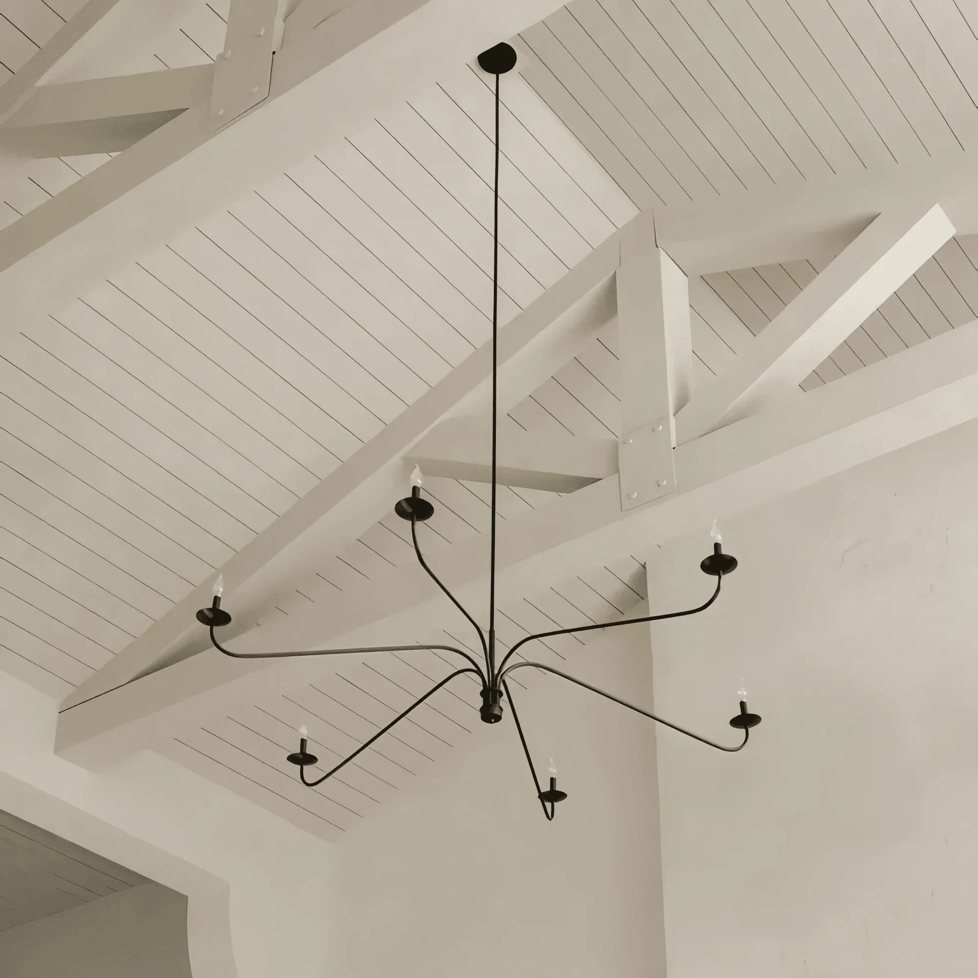 Philomena Chandelier - 70''BlackBlushlighting