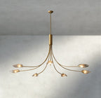 Shell Clear Glass Chandelier-Chandelier-Manorlights