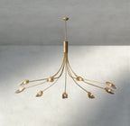 Shell Clear Glass Chandelier-Chandelier-Manorlights