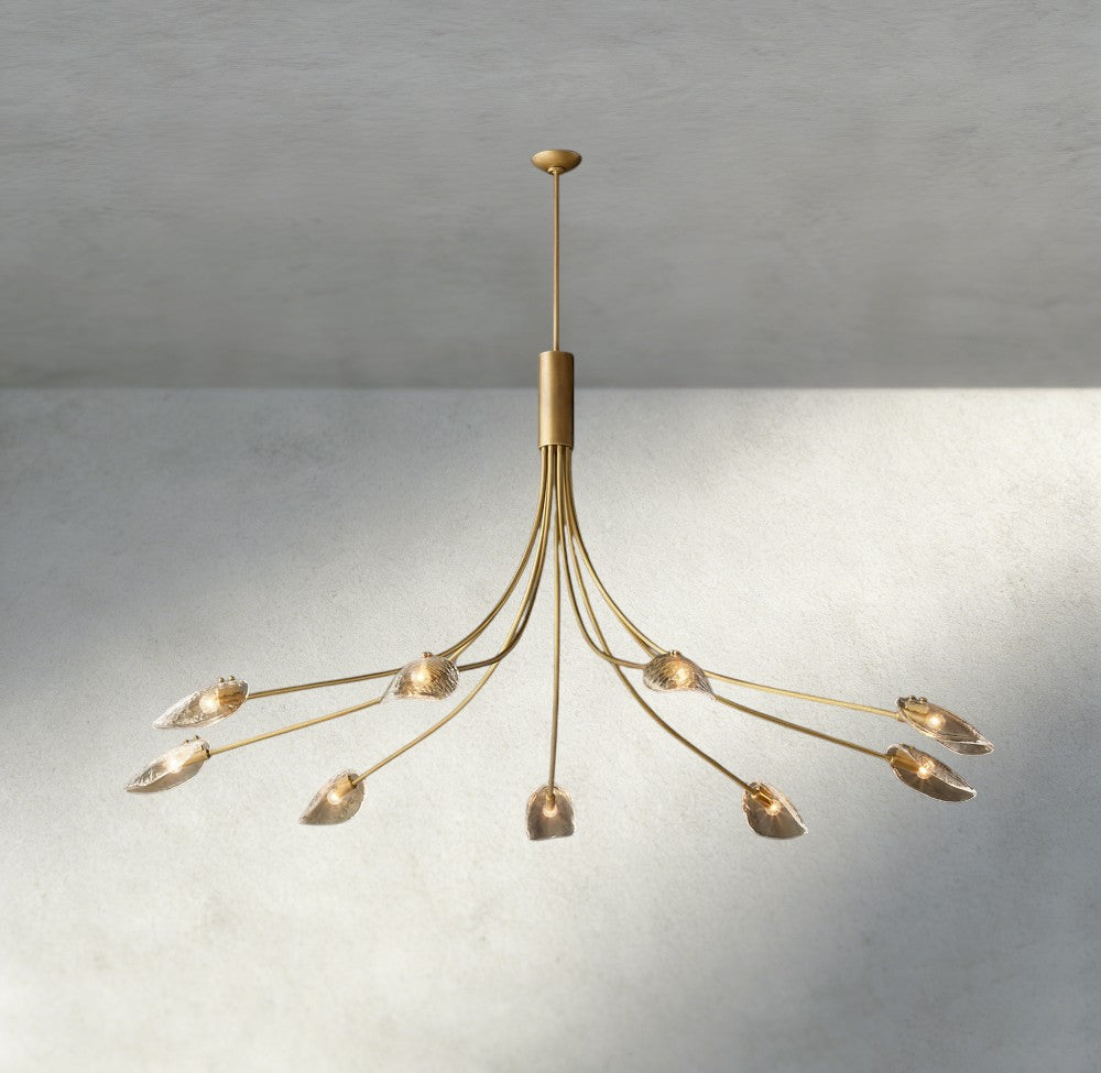 Shell Clear Glass Chandelier-Chandelier-Manorlights