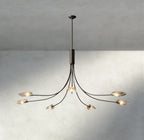Shell Clear Glass Chandelier-Chandelier-Manorlights