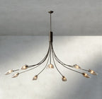 Shell Clear Glass Chandelier-Chandelier-Manorlights