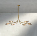 Shell Clear Glass Chandelier-Chandelier-Manorlights