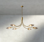 Shell Clear Glass Chandelier-Chandelier-Manorlights