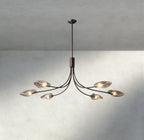 Shell Clear Glass Chandelier-Chandelier-Manorlights