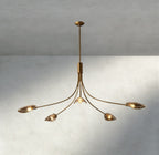 Shell Smoke Glass Chandelier-Chandelier-Manorlights