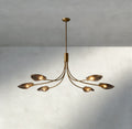 Shell Smoke Glass Chandelier-Chandelier-Manorlights