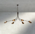 Shell Smoke Glass Chandelier-Chandelier-Manorlights